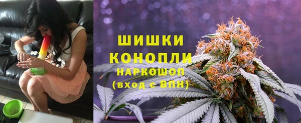 хмурый Гусиноозёрск