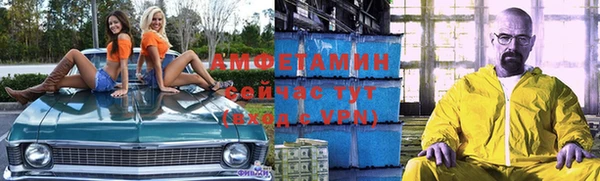 твердый Гусев