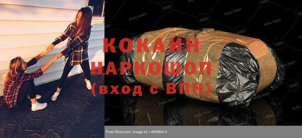 твердый Гусев