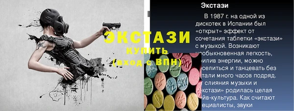 твердый Гусев