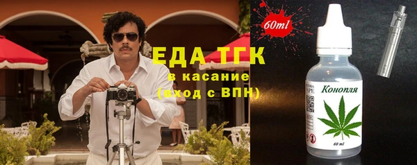 твердый Гусев