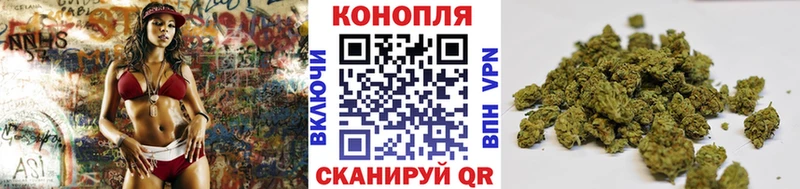 Канабис OG Kush  Дивногорск 